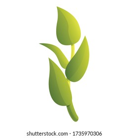 Icono de la planta de té. Caricatura del icono del vector de la planta de té para el diseño web aislado en fondo blanco