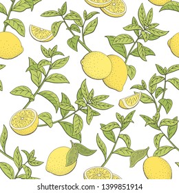 Tea plant lemon graphic color seamless pattern background sketch illustration vector