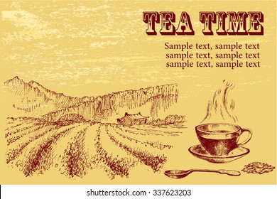 Tea plant set. Hand drawn. Vintage background. Tea time  invitation or announcement.