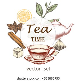Tea plant set. Hand drawn. Design elements for announcements, invitations, shops and fairs.