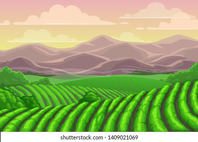 Tea plantation fields, cascade valley landscape with mount scenery. Vector Chinese or Sri Lanka meadows with mountains backdrop, terraced agriculture. Asian plants cultivation, rural countryside