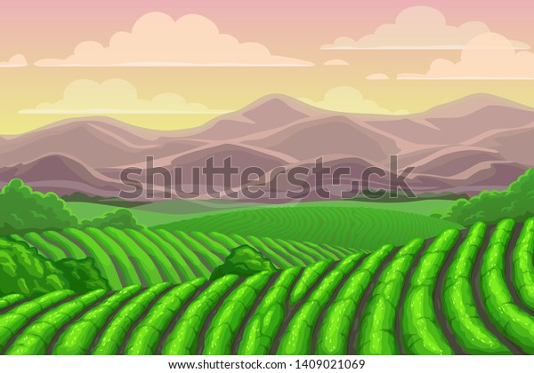 Tea plantation fields, cascade valley\
landscape with mount scenery. Vector Chinese or Sri Lanka meadows\
with mountains backdrop, terraced agriculture. Asian plants\
cultivation, rural\
countryside