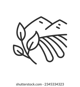 Tea plantation, linear icon. Field and tea leaf. Line with editable stroke