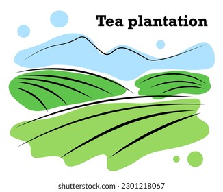 Plantación de té en las montañas. Ilustración vectorial en estilo doodle