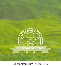 Tea plantation vector background