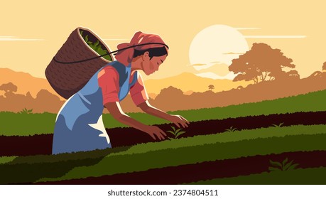 Tea plantation. A woman of oriental appearance collects tea in a basket. Vector illustration in a flat style.