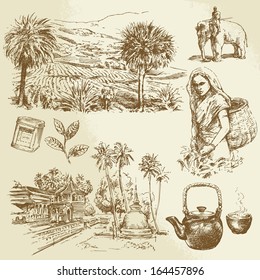 tea plantations - hand drawn set