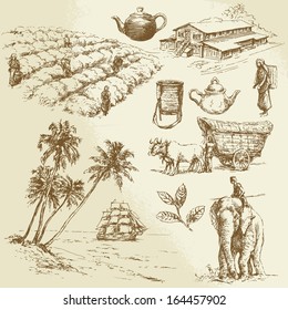 tea plantations - hand drawn set