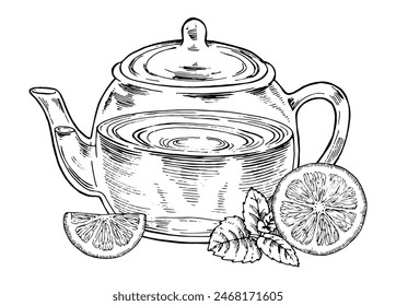 Tea Pot Vector outline illustration. Drink with lemon and mint sketch drawing. Transparent glass kettle black line art. Editable composition with food. Graphic clipart for vintage prints