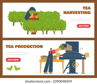 Tea production facility, grading and fermentation harvested leaves process. Vector tea industry landing page set. Cartoon worker collects tea leaves in a basket, worker drying flavor leaves in machine