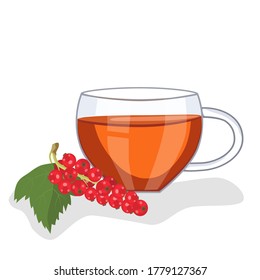 Tea with red currants in a glass cup, red currant berries lie nearby. Vector illustration