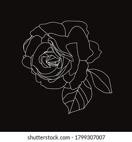TEA ROSE GRAPHICS.PATTERN.VECTOR. IMAGE ON WHITE BACKGROUND.