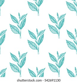 Tea seamless pattern.  Botanical pattern with tea leaves. Vintage design for wrapping paper. Vector illustration.