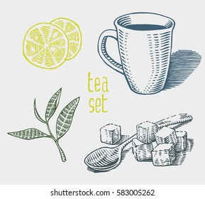 Tea set. Collection of hand drawn sketches. Cup, lemon, tea leaf and spoon with sugar cubes. Vector elements isolated on light background