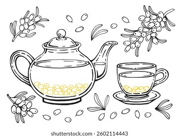 Tea set with glass teapot and cup, sea buckthorn. Hand drawn vector illustration in outline style.