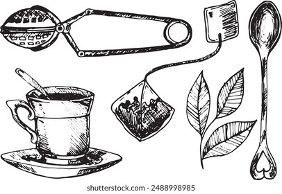 Tea set. Hand drawn teapot, tea leaves, cup, spoon, tea bag. Vector illustration