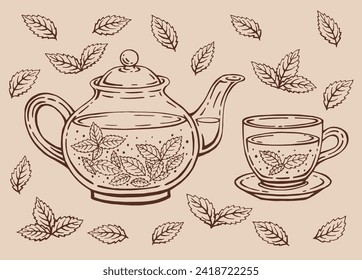 Tea set with healthy green tea, mint leaves. Teapot and cup. Hand drawn vector illustration in outline style.