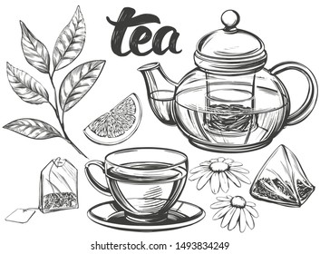 tea set isolated on white background hand drawn vector illustration realistic sketch