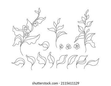 Tea Set. Linear Tree, Leaves. Graphic Symbol Isolated On White Background Floral Simple Nature Collection