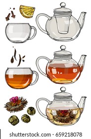 A tea set. Teapot and a mug painted lines on a white background. Vector sketch of dishes. Glass teapot, tea bag, green tea