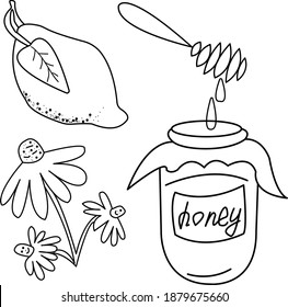 Tea set. Vector doodle illustration. Here is a whole lemon with a leaf, an echinacea flower, a jar of honey and a honey dipper. Alternative medicine.