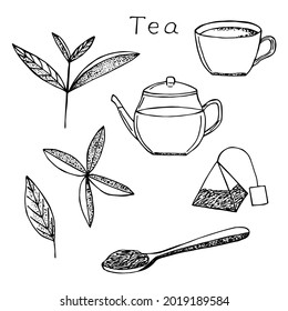 Tea set vector illustration, hand drawing sketch, tea leaves, cup, teapot, tea bag and spoon with tea leaves