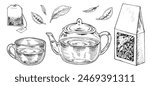 Tea Set Vector Outline Illustration. Hand drawn graphic clipart of cup with pot and leaves. Black line art of tea bag and cardboard box of dried herbal drink. Drawing on isolated white background