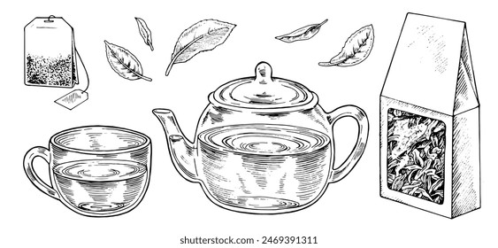 Tea Set Vector Outline Illustration. Hand drawn graphic clipart of cup with pot and leaves. Black line art of tea bag and cardboard box of dried herbal drink. Drawing on isolated white background