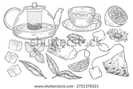 Tea Set Vector Outline Illustration. Hand drawn graphic clipart of cup with pot and leaves.