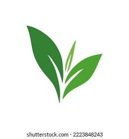 tea shoot icon design illustration