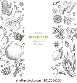 Tea shop vector illustration. Vector design with herbal tea ingredients. Healthy food and drink set. Hand drawn sketch collection. Engraved style frame.