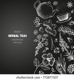 Tea shop vector illustration. Vector design with herbal tea ingredients. Hand drawn sketch collection. Engraved style.