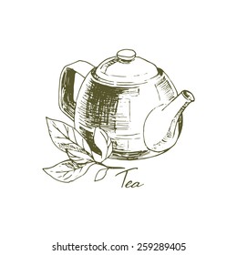 Tea, sketch illustration with teapot and tea leaves.