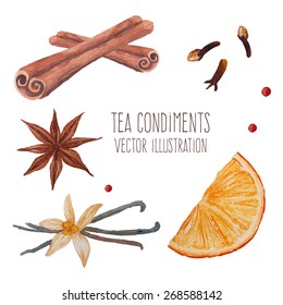 Tea spices: cinnamon sticks, star anise, vanilla. Watercolor isolated illustrations set. Vector hand drawn food objects