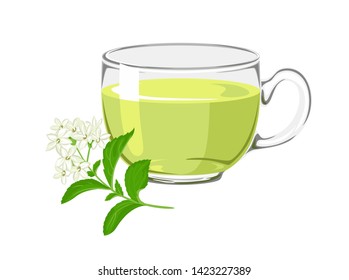 Té con estevia. Vidrio con una bebida y un edulcorante natural aislado sobre un fondo blanco. Ilustración vectorial en caricatura simple de estilo plano.