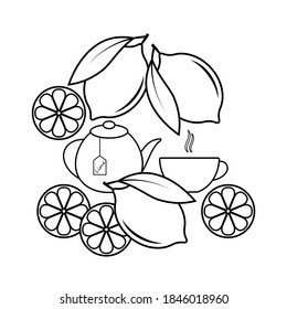 Tea, teapot with lime icon, fresh citrus fruits. Vector illustration isolated, linear style.