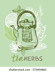 Tea time. Tea is always good idea. Hand drawn doodle illustration. Tea herbs
