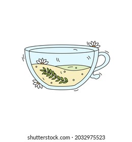 Tea time concept. Hand drawn cute glass cup of herbal tea with chamomile, isolated vector illustration on white background