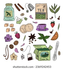 Tea time set with dishes. Leaves, flowers, spices for tea. Hand-drawn vector set in sketch style.