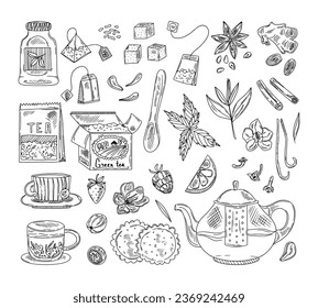 Tea time set with dishes. Leaves, flowers, spices for tea. Hand-drawn vector set in sketch style.