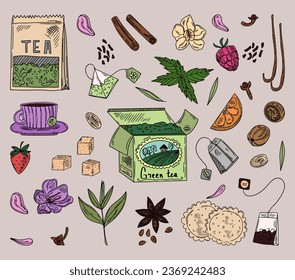 Tea time set with dishes. Leaves, flowers, spices for tea. Hand-drawn vector set in sketch style.