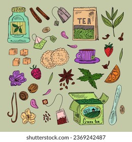 Tea time set with dishes. Leaves, flowers, spices for tea. Hand-drawn vector set in sketch style.