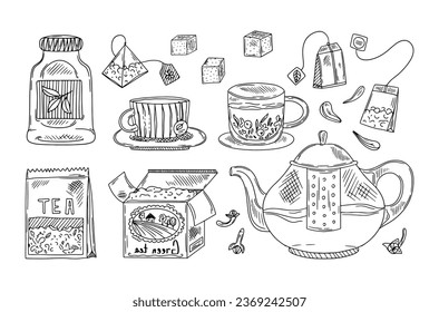 Tea time set with dishes. Leaves, flowers, spices for tea. Hand-drawn vector set in sketch style.