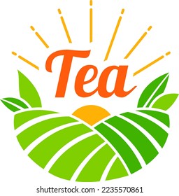 Tea time sign, hot beverage at graphic cup design, isolated on white vector illustration. Morning drink icon, breakfast element background.