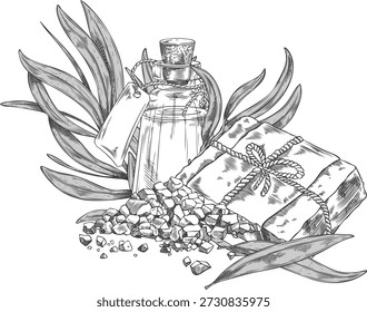 Ramo de árvore de chá com folhas, sabão e esboço de jarro de óleo essencial. Ilustração vetorial de desenho à mão esculpida em botânica. Erva essencial, planta de aroma medicinal. Produtos orgânicos cosméticos e bebidas à base de chá