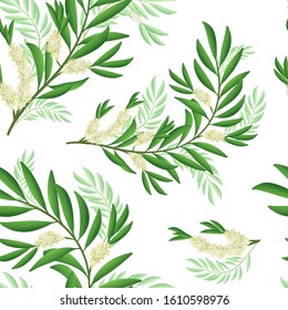 Tea tree branch pattern with flowers and leaves. Malaleuca or tea tree design composition. Vector illustration for use in web design, print or other visual area