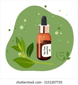 Tea tree essential oil in dark glass bouttle. Tea tree branch. collection of oils for aromatherapy and spa. Vector illustration isolated on white background.