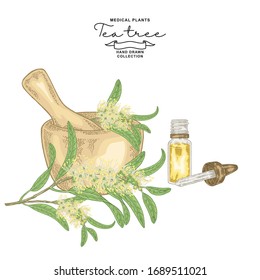 Tea tree flowers hand drawn. Melaleuca branch with mortar and glass bottle of oil. Vector botanical illustration. 