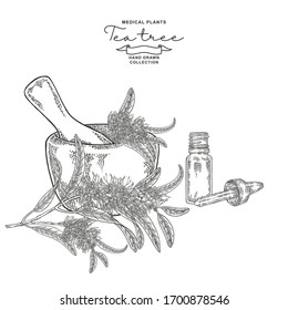 Tea tree flowers hand drawn. Melaleuca branch with mortar and glass bottle of oil. Vector botanical illustration. Engraved style.