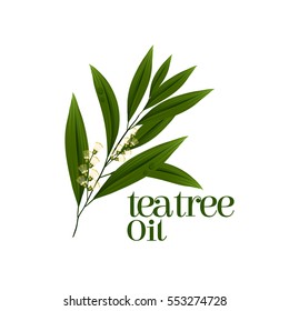 tea tree leaf natural skin care cosmetic vector